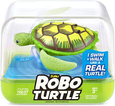 Robot turtle