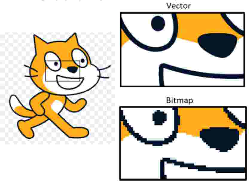 Vector VS Bitmap